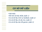 CƠ SỞ DỮ LIỆUGiới thiệu Mô hình dữ liệu NCBI (tuần 1) Cơ sở dữ liệu trình tự GenBank (tuần 2) Cơ sở dữ liệu về cấu trúc (tuần 3) Cơ sở dữ liệu bản đồ genom (tuần 4).Các cơ sở dữ liệuCơ sở dữ liệu NCBI (National Center forBiotechnology Information) C