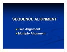 SEQUENCE ALIGNMENT