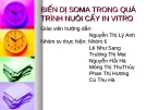 BIẾN DỊ SOMA TRONG QUÁ TRÌNH NUÔI CẤY IN VITRO