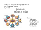 Báo cáo - Tế bào gốc