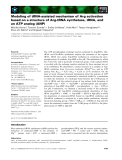 Báo cáo khoa học: Modeling of tRNA-assisted mechanism of Arg activation based on a structure of Arg-tRNA synthetase, tRNA, and an ATP analog (ANP)