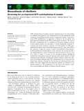 Báo cáo khoa học: Biosynthesis of riboﬂavin Screening for an improved GTP cyclohydrolase II mutant