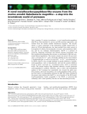 Báo cáo khoa học: A novel metallocarboxypeptidase-like enzyme from the marine annelid Sabellastarte magniﬁca – a step into the invertebrate world of proteases
