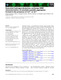 Báo cáo khoa học: Quenched hydrogen ⁄deuterium exchange NMR characterization of amyloid-b peptide aggregates formed in the presence of Cu2+ or Zn2+