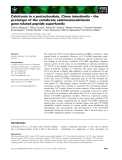 Báo cáo khoa học: Calcitonin in a protochordate, Ciona intestinalis – the prototype of the vertebrate calcitonin/calcitonin gene-related peptide superfamily