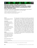 Báo cáo khoa học: Structure analysis of the ﬂavoredoxin from Desulfovibrio vulgaris Miyazaki F reveals key residues that discriminate the functions and properties of the ﬂavin reductase family