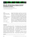 Báo cáo khoa học: New roles of ﬂavoproteins in molecular cell biology: Blue-light active ﬂavoproteins studied by electron paramagnetic resonance