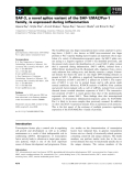 Báo cáo khoa học: SAF-3, a novel splice variant of the SAF-1/MAZ/Pur-1 family, is expressed during inﬂammation
