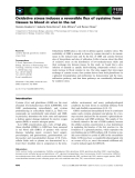 Báo cáo khoa học: Oxidative stress induces a reversible ﬂux of cysteine from tissues to blood in vivo in the rat