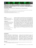 Báo cáo khoa học: Molecular and cellular speciﬁcity of post-translational aminoacyl isomerization in the crustacean hyperglycaemic hormone family