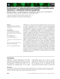 Báo cáo khoa học: Involvement of mitochondrial permeability transition pore opening in a-bisabolol induced apoptosis
