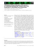 Báo cáo khoa học: Arabidopsis ATPase family gene 1-like protein 1 is a calmodulin-binding AAA+-ATPase with a dual localization in chloroplasts and mitochondria