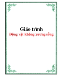 Giáo trình Động vật không xương sống