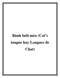 Bánh lưỡi mèo (Cat’s tongue hay Langues de Chat)