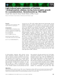 Báo cáo khoa học: Light-induced gene expression of fructose 1,6-bisphosphate aldolase during heterotrophic growth in a cyanobacterium, Synechocystis sp. PCC 6803