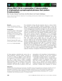 Báo cáo khoa học: Mouse RS21-C6 is a mammalian 2¢-deoxycytidine 5¢-triphosphate pyrophosphohydrolase that prefers 5-iodocytosine