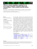 Báo cáo khoa học: Olfactory receptor signaling is regulated by the post-synaptic density 95, Drosophila discs large, zona-occludens 1 (PDZ) scaffold multi-PDZ domain protein 1