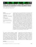 Báo cáo khoa học: Amino acid discrimination by arginyl-tRNA synthetases as revealed by an examination of natural speciﬁcity variants