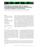 Báo cáo khoa học: Post-ischemic brain damage: effect of ischemic preconditioning and postconditioning and identiﬁcation of potential candidates for stroke therapy