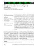 Báo cáo khoa học: Characterization of the rice carotenoid cleavage dioxygenase 1 reveals a novel route for geranial biosynthesis