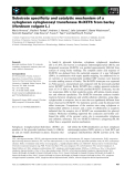 Báo cáo khoa học: Substrate speciﬁcity and catalytic mechanism of a xyloglucan xyloglucosyl transferase HvXET6 from barley (Hordeum vulgare L.)