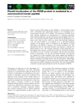 Báo cáo khoa học: Plastid localization of the PEND protein is mediated by a noncanonical transit peptide