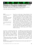 Báo cáo khoa học: Modulation of Vibrio mimicus hemolysin through limited proteolysis by an endogenous metalloprotease