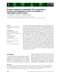 Báo cáo khoa học: Protein transport in organelles: The composition, function and regulation of the Tic complex in chloroplast protein import