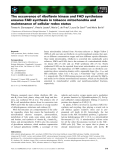 Báo cáo khoa học: The occurrence of riboﬂavin kinase and FAD synthetase ensures FAD synthesis in tobacco mitochondria and maintenance of cellular redox status