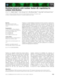 Báo cáo khoa học: Nucling interacts with nuclear factor-jB, regulating its cellular distribution