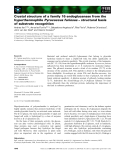 Báo cáo khoa học: Crystal structure of a family 16 endoglucanase from the hyperthermophile Pyrococcus furiosus – structural basis of substrate recognition