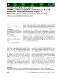 Báo cáo khoa học: Identiﬁcation of the N-termini of NADPH : protochlorophyllide oxidoreductase A and B from barley etioplasts (Hordeum vulgare L.)