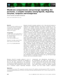 Báo cáo khoa học: Membrane compartments and purinergic signalling: the purinome, a complex interplay among ligands, degrading enzymes, receptors and transporters