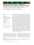 Báo cáo khoa học: Impact of cyclic hypoxia on HIF-1a regulation in endothelial cells – new insights for anti-tumor treatments