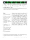 Báo cáo khoa học: Crystal structures of two novel sulfonylurea herbicides in complex with Arabidopsis thaliana acetohydroxyacid synthase