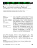 Báo cáo khoa học: DNA-dependent protein kinase is involved in heat shock protein-mediated accumulation of hypoxia-inducible factor-1a in hypoxic preconditioned HepG2 cells