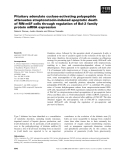 Báo cáo khoa học: Pituitary adenylate cyclase-activating polypeptide attenuates streptozotocin-induced apoptotic death of RIN-m5F cells through regulation of Bcl-2 family protein mRNA expression