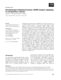 Báo cáo khoa học:  Gonadotropin-releasing hormone: GnRH receptor signaling in extrapituitary tissues