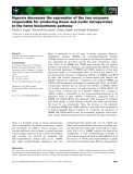 Báo cáo khoa học: Hypoxia decreases the expression of the two enzymes responsible for producing linear and cyclic tetrapyrroles in the heme biosynthetic pathway