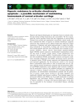 Báo cáo khoa học: Hypoxic resistance to articular chondrocyte apoptosis – a possible mechanism of maintaining homeostasis of normal articular cartilage