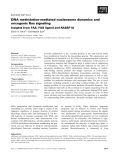 Báo cáo khoa học: DNA methylation-mediated nucleosome dynamics and oncogenic Ras signaling