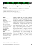 Báo cáo khoa học: Structural and mutational analyses of protein–protein interactions between transthyretin and retinol-binding protein