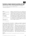 Báo cáo khoa học: Knockdown of integrin b4-induced autophagic cell death associated with P53 in A549 lung adenocarcinoma cells