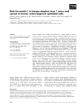 Báo cáo khoa học: Role for nectin-1 in herpes simplex virus 1 entry and spread in human retinal pigment epithelial cells