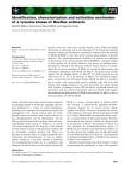 Báo cáo khoa học: Identiﬁcation, characterization and activation mechanism of a tyrosine kinase of Bacillus anthracis