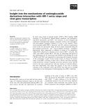 Báo cáo khoa học:  Insight into the mechanisms of aminoglycoside derivatives interaction with HIV-1 entry steps and viral gene transcription
