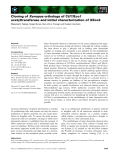 Báo cáo khoa học: Cloning of Xenopus orthologs of Ctf7/Eco1 acetyltransferase and initial characterization of XEco2