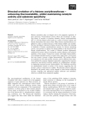 Báo cáo khoa học: Directed evolution of a histone acetyltransferase – enhancing thermostability, whilst maintaining catalytic activity and substrate speciﬁcity