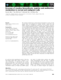 Báo cáo khoa học: Enzymes of creatine biosynthesis, arginine and methionine metabolism in normal and malignant cells Soumen Bera1, Theo Wallimann2, Subhankar Ray1 and Manju Ray1