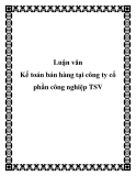 Luận văn Kế toán bán hàng tại công ty cổ phần công nghiệp TSV